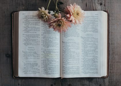 bible1